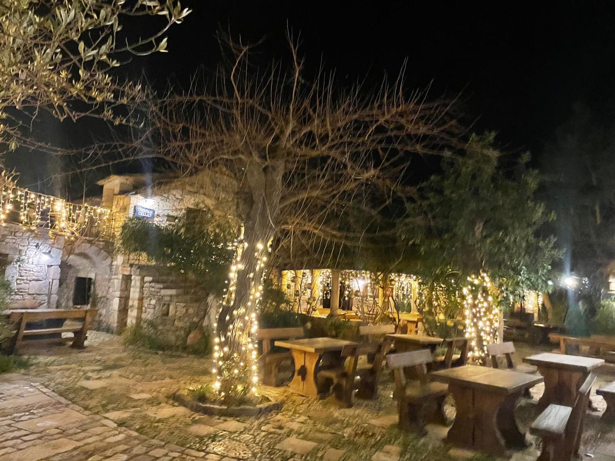 My Adriatic Place With Private Garden And Garage Sibenik Luaran gambar